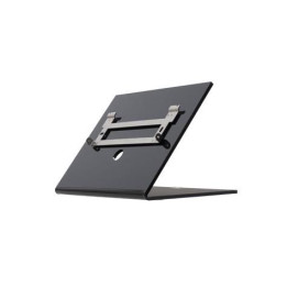 2N Indoor Touch - Desk Stand,