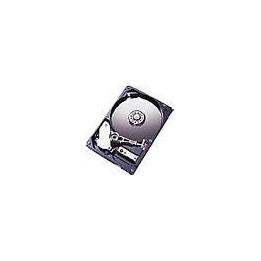 IBM Harddisk 146 GB internal 2.5"