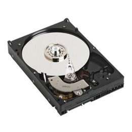 Dell HDD 1TB 7,2K 3,5 Inch SATA