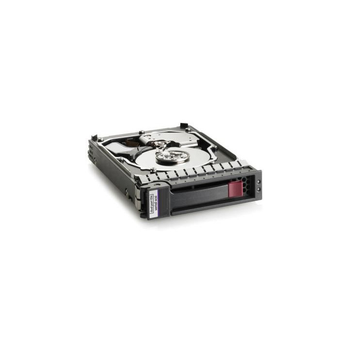 Hewlett Packard Enterprise 1TB SAS 6G SFF 2,5"
