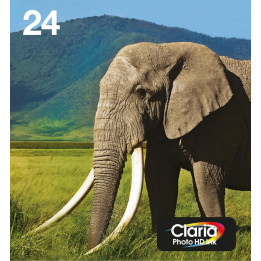 Epson 24, Multipack