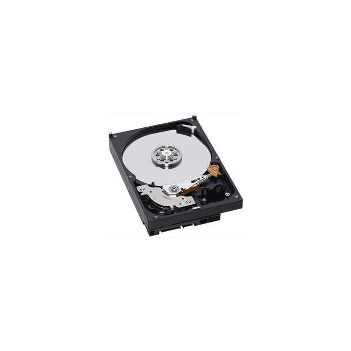 IBM HDD 600GB 15K 4Gbps FC