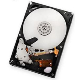 IBM 2 TB/7200 rpm SATA II