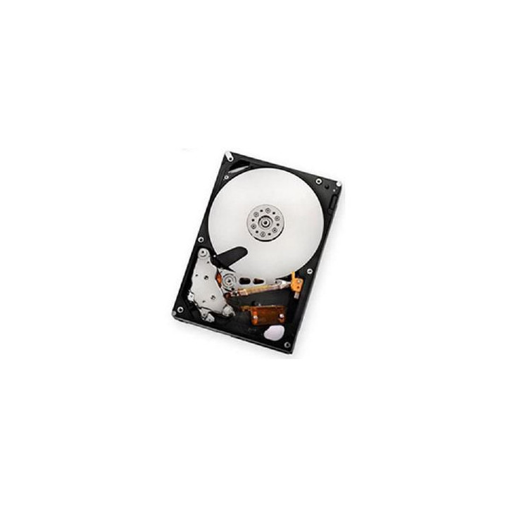 IBM 2 TB/7200 rpm SATA II