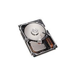 IBM 146GB hotswap 3.5inch 15K U320