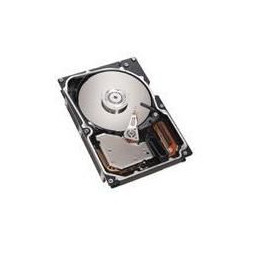IBM 73GB SAS 10K RPM 2,5" HOTSWAP