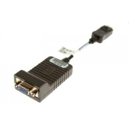 HP Display Port (DP)