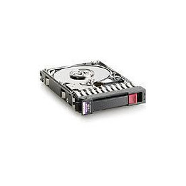 Hewlett Packard Enterprise 2,5 300GB 15Krpm