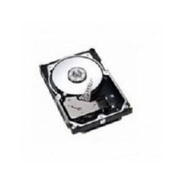 IBM 300GB FC 10K HS