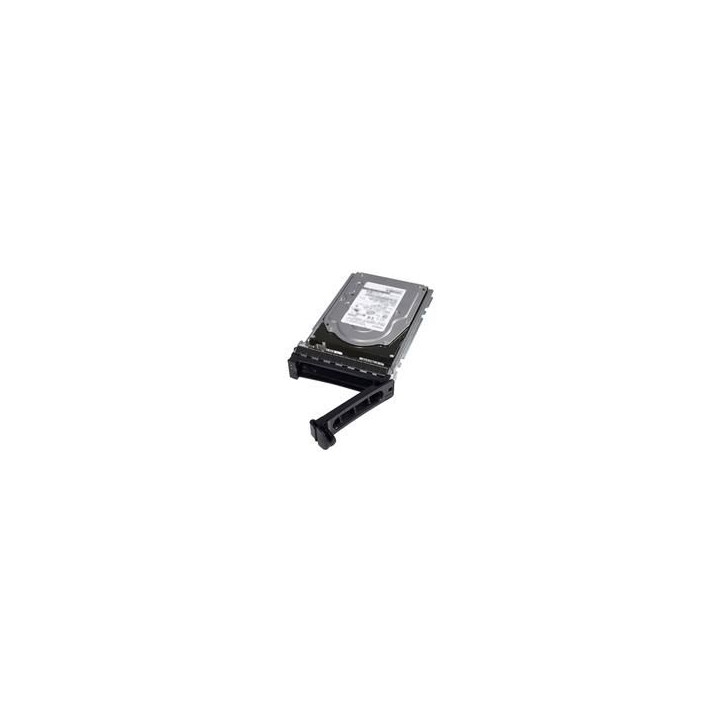 Dell HDD 4TB 7,2K 3,5 Inch SAS