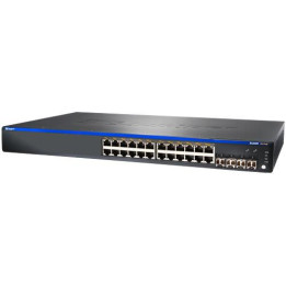 Juniper 24 Ports - Manageable