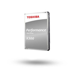 Toshiba X300 High-Performance 256MB