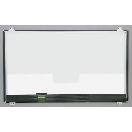 CoreParts 17,3" LCD FHD Matte