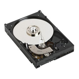 Dell HD 1T NL6 7.2K 3.5 T-HR2 E/C