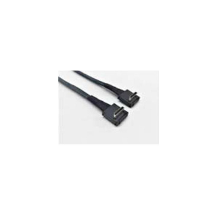 Intel AXXCBL620CRCR Cable Kit