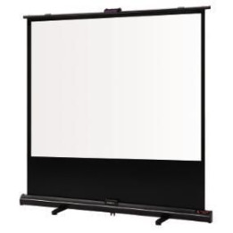 Grandview X-PRESS Portable WM screen