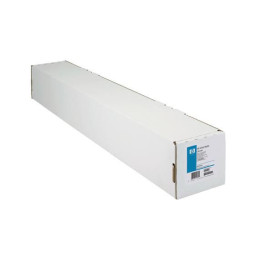 HP Professional Matte Canvas