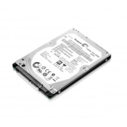 Lenovo 300Gb Fc 4Gbps 15K E Ddm H