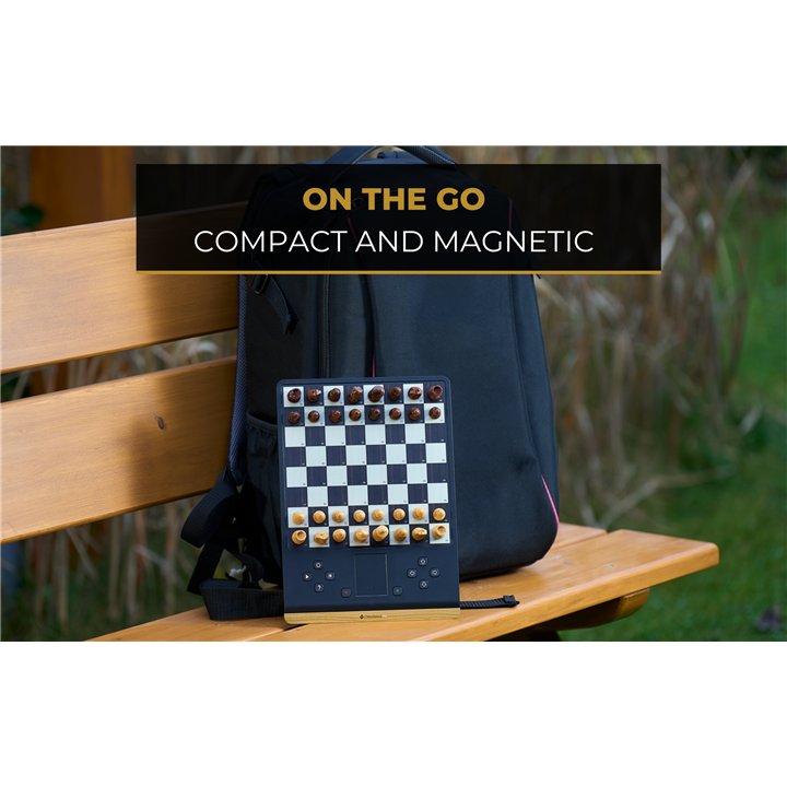 Millennium ChessGenius Pro M815