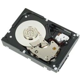 Dell HD,73G,SAS,03,10K,16,MXT,GEN