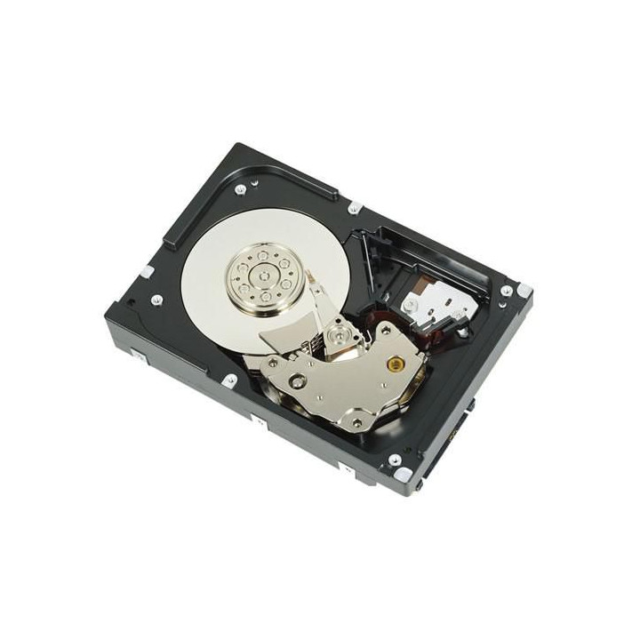 Dell HD,73G,SAS,03,10K,16,MXT,GEN