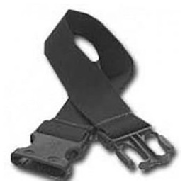 Zebra Belt