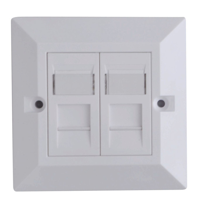 Lanview CAT6 Faceplate Dual Gang UK
