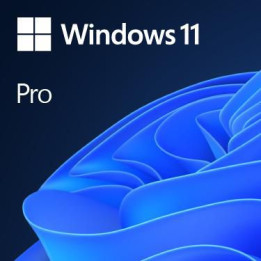 Microsoft Windows 11 Pro UK