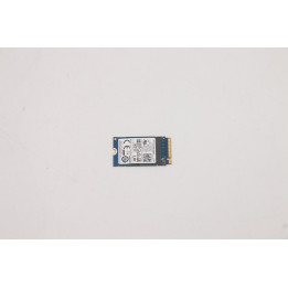 Lenovo 256GB M.2 PCIe NVMe SSD
