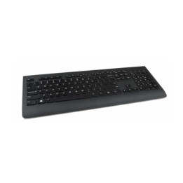 Lenovo Professional