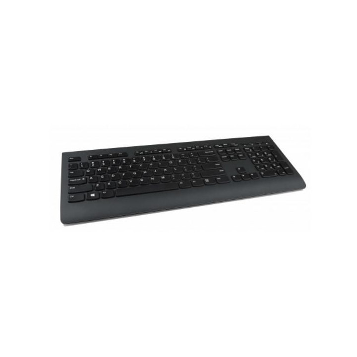 Lenovo Professional