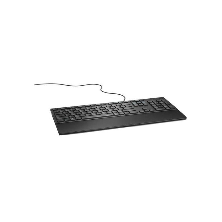 Dell Multimedia KB216 keyboard USB
