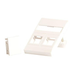 Lanview Wall plate for 2 x keystone.