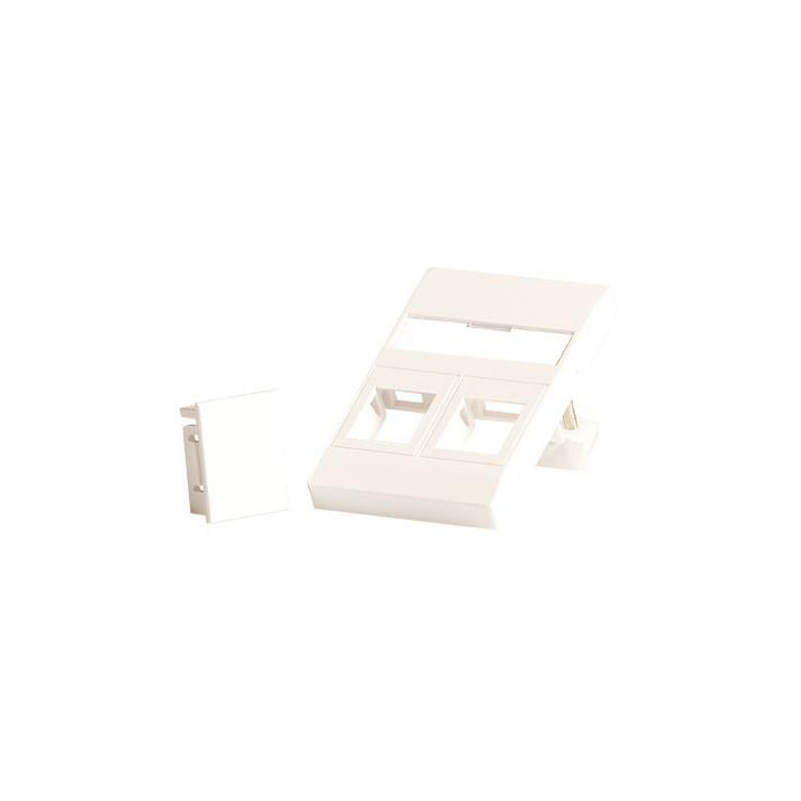 Lanview Wall plate for 2 x keystone.