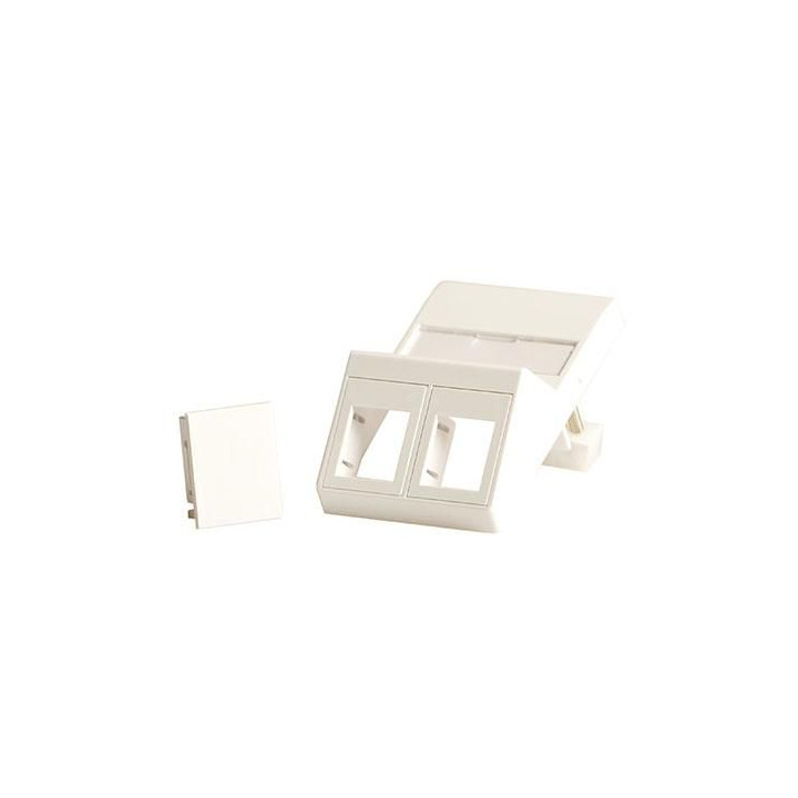 Lanview Wall plate, angled, for 2 x