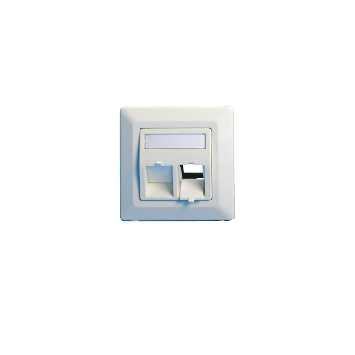 Lanview Wall plate, angled, double