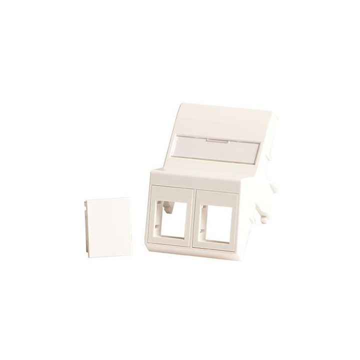 Lanview Wall plate, angled, 2 x