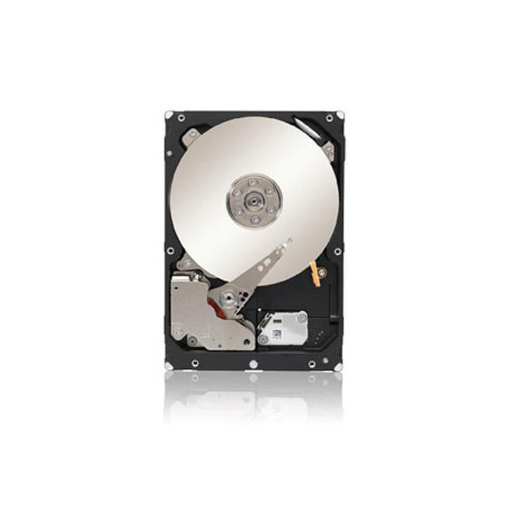 IBM 300GB 6Gb SAS 3.5" HDD
