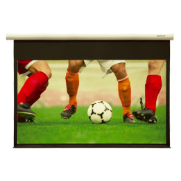 Grandview Fantasy motorized WM screen
