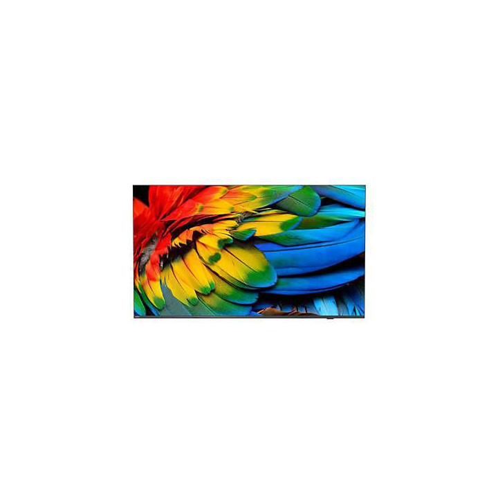 Philips 58" Business TV, 4K UHD,