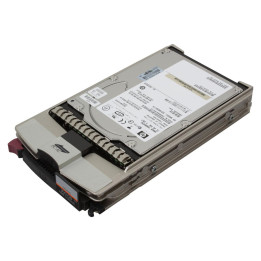 HP 300GB FiBer 10K