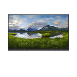 Dell 24 Monitor - P2422H no stand