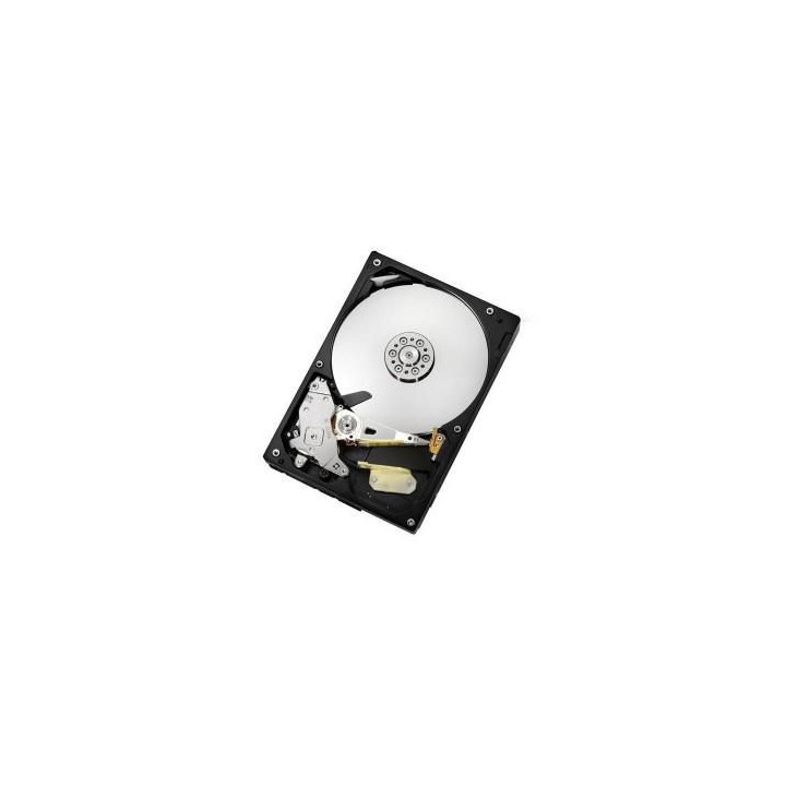 Hewlett Packard Enterprise 80GB Serial-ATA (SATA) 7200rpm