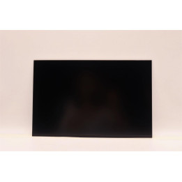 Lenovo 14-inch WUXGA anti-glare IPS