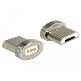 Delock Magnetic Adapter USB Type