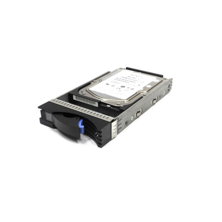 IBM 300 GB 10K RPM FC HDD