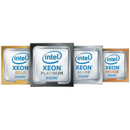 Hewlett Packard Enterprise DL360 Gen10 Xeon-G 5217 Kit