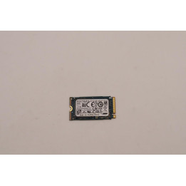 Lenovo 256GB M.2 2242 NVMe SSD