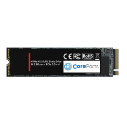 CoreParts 256GB M.2 PCIe NVMe SSD