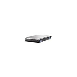Hewlett Packard Enterprise SATA/160GB 7200RPM
